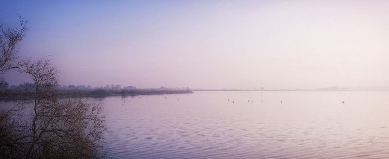Aigues Mortes - Camargue Gardoise