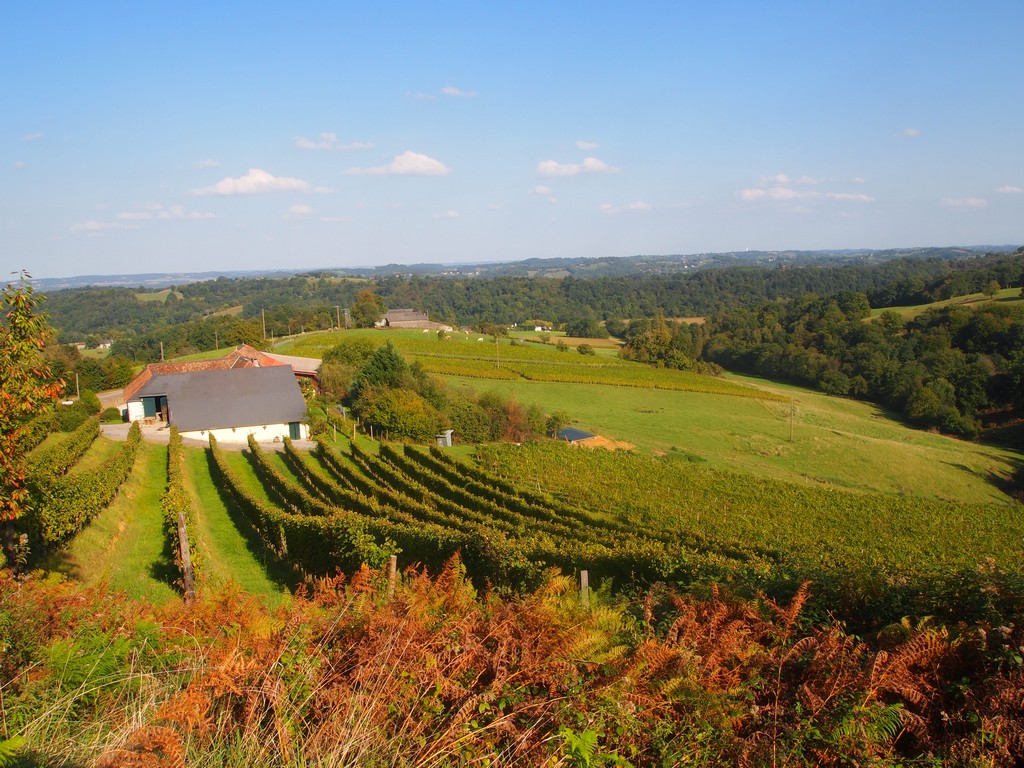 domaine-larroude-jeremy-estoueigt-vigneron-vignes Domaine Larroudé par le vigneron Jérémy Estoueigt