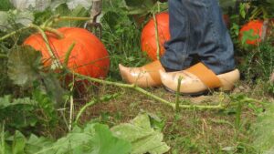 Sabots faits pendant le stage de sabotier