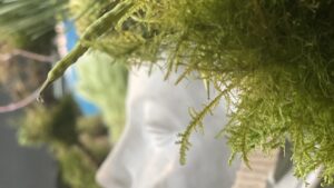 Décoration dans la boutique de Marion qui propose un stage fleuriste à Toulouse