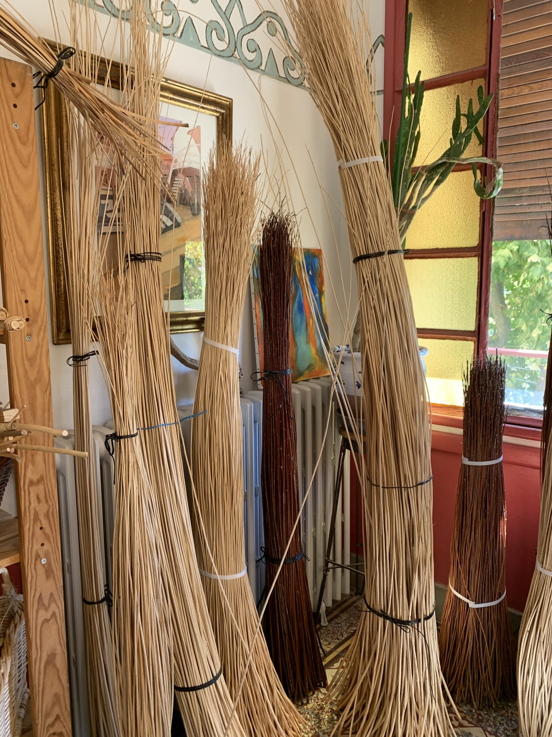 tiges-osier-formation-vannerie-herault-vannier-corinne-eldin-herault-languedoc-roussillon Tiges en osier dans l'atelier de Corinne Eldin, vannier, pendant la formation vannerie dans l'Hérault