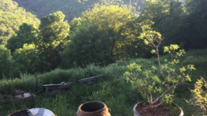 Cadre et paysage pendant le stage de poterie et céramique africaine