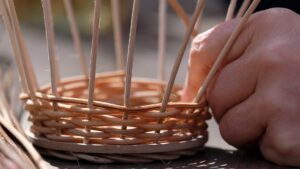 Tressage manuel de la vannerie d'osier pendant l'atelier vannier