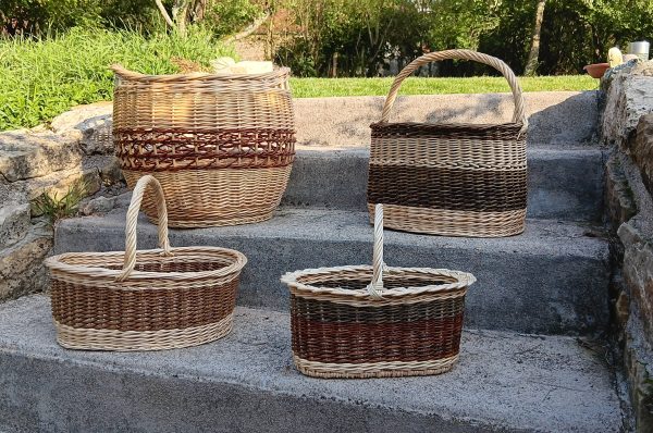 Formation à la vannerie d'osier à Fayl Billot avec un vannier