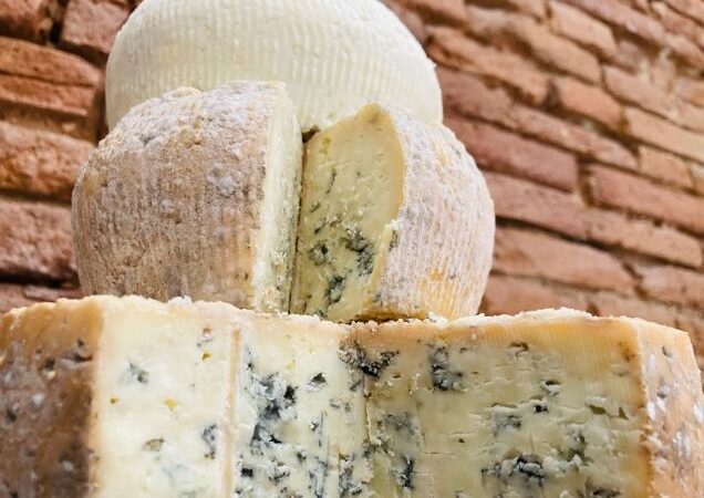 Stage fromager pour apprendre les étapes de fabrication du fromage.