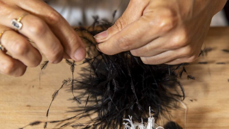 Stage plumassier et plumasserie pour s’initier au travail des plumes artisanales.