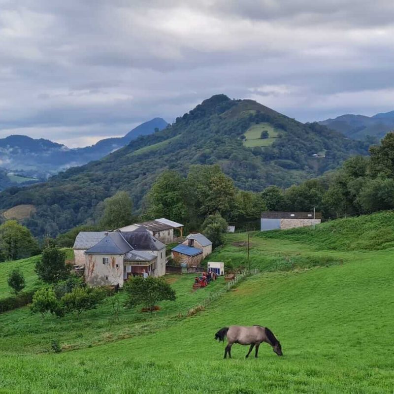 La ferme de Marion et Arnaud, éleveurs caprins et fromager dans le Pays Basque