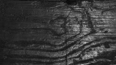 Exemple de travail thématique sur bois pendant le stage de photographie avec un photographe