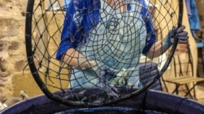 Teinture à l'indigo en cours pendant le stage avec un teinturier