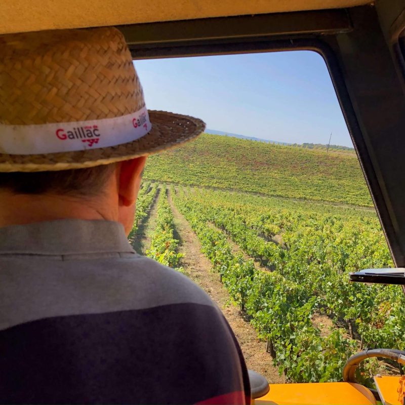 Vigneron Laurent Visseq à Gaillac