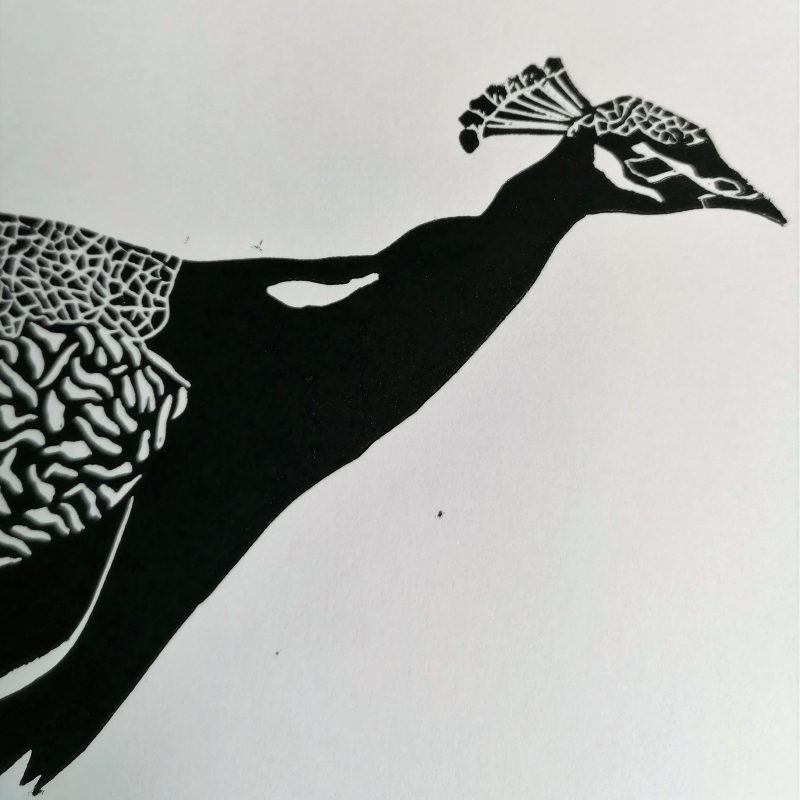 Linogravure de paon