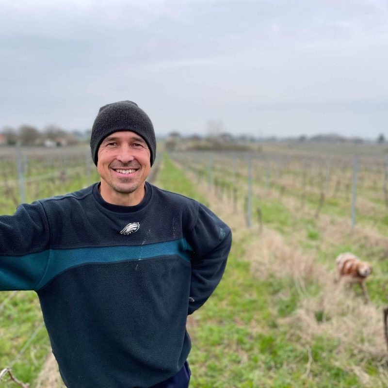 Vigneron Laurent Visseq à Gaillac