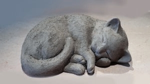 Chat stage création d'une sculpture en terre