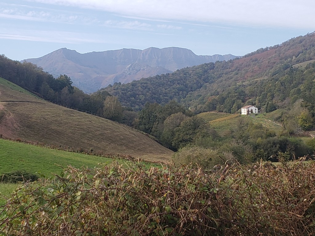 vignoble-stage-oeonologie-vin-vigne-vigneron-irouleguy-pays-basque-8 Vignoble d'Irouléguy pendant le stage d'initiation à l'oenologie dans le Pays Basque