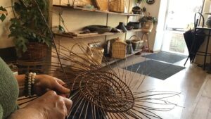 Début de panier dans l'atelier de vannerie pendant le stage avec un vannier
