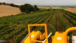 Vue de l'enjambeur pendant l'atelier vigneron à Gaillac