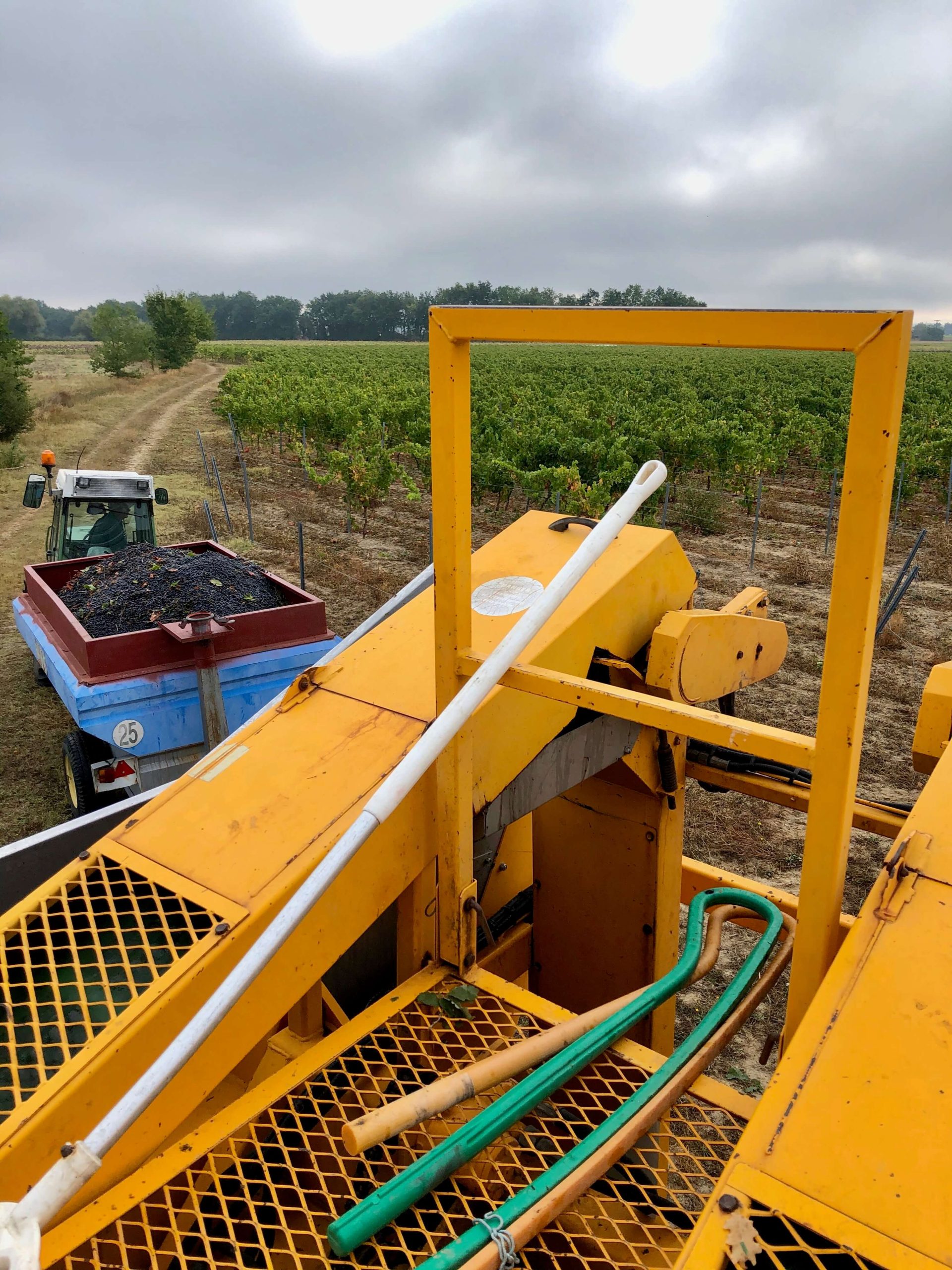 enjambeur-vigneron-laurent-visseq Enjambeur du vigneron Laurent Visseq