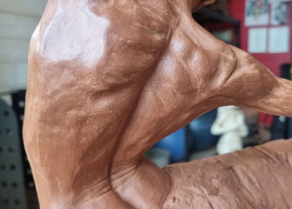 Exemple de sculpture sur nu pendant le stage sur modèle vivant entre Albi et Castres