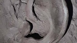 Sculpture d'une oreille lors de l'atelier sculpture sur terre