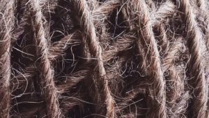 Pelote de laine pendant le stage de tissage