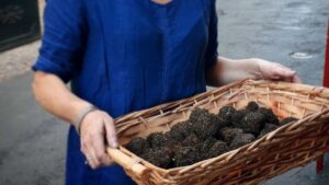 Boules de cocagne pendant le stage chez un teinturier vers Castres