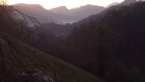 Transhumance des brebis pendant le stage de berger éleveur au Pays Basque