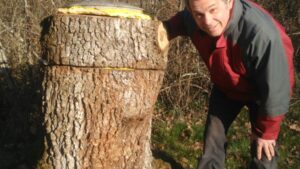 Apiculteur à côté d'une ruche pendant la stage en apiculture entre Toulouse, Castres et Albi